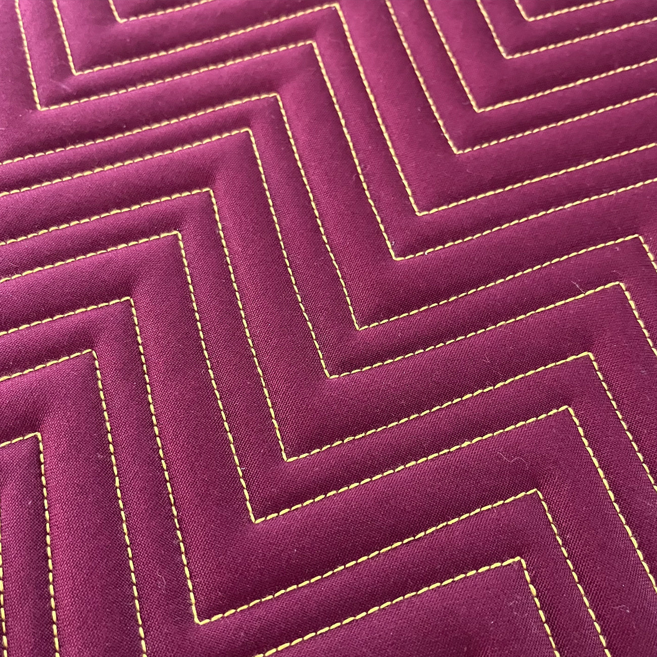Echo Laptop Sleeve