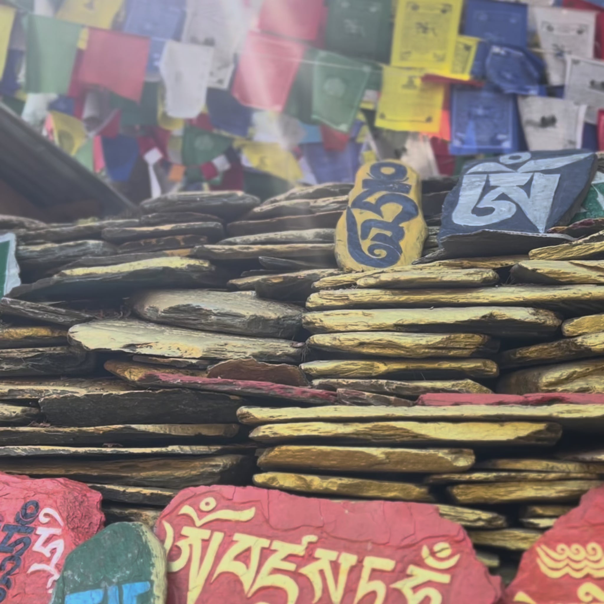 Tashi Laptop Sleeve | Artisanal | Handcrafted in India | Gulal